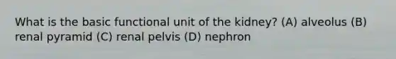 What is the basic functional unit of the kidney? (A) alveolus (B) renal pyramid (C) renal pelvis (D) nephron