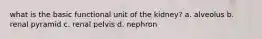 what is the basic functional unit of the kidney? a. alveolus b. renal pyramid c. renal pelvis d. nephron