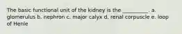 The basic functional unit of the kidney is the __________. a. glomerulus b. nephron c. major calyx d. renal corpuscle e. loop of Henle