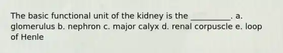 The basic functional unit of the kidney is the __________. a. glomerulus b. nephron c. major calyx d. renal corpuscle e. loop of Henle