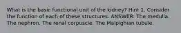 What is the basic functional unit of the kidney? Hint 1. Consider the function of each of these structures. ANSWER: The medulla. The nephron. The renal corpuscle. The Malpighian tubule.