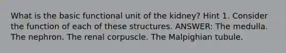 What is the basic functional unit of the kidney? Hint 1. Consider the function of each of these structures. ANSWER: The medulla. The nephron. The renal corpuscle. The Malpighian tubule.