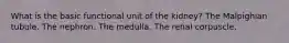 What is the basic functional unit of the kidney? The Malpighian tubule. The nephron. The medulla. The renal corpuscle.