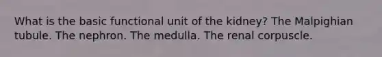 What is the basic functional unit of the kidney? The Malpighian tubule. The nephron. The medulla. The renal corpuscle.