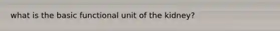 what is the basic functional unit of the kidney?