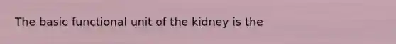 The basic functional unit of the kidney is the