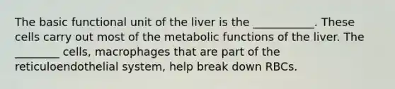 The basic functional unit of the liver is the ___________. These cells carry out most of the metabolic functions of the liver. The ________ cells, macrophages that are part of the reticuloendothelial system, help break down RBCs.