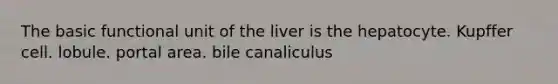 The basic functional unit of the liver is the hepatocyte. Kupffer cell. lobule. portal area. bile canaliculus