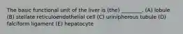 The basic functional unit of the liver is (the) ________. (A) lobule (B) stellate reticuloendothelial cell (C) urinipherous tubule (D) falciform ligament (E) hepatocyte