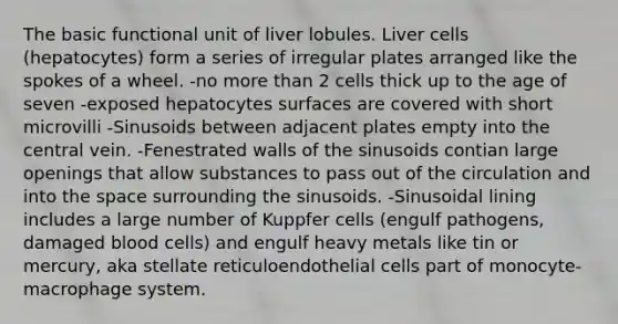 The basic functional unit of liver lobules. Liver cells (hepatocytes) form a series of irregular plates arranged like the spokes of a wheel. -no more than 2 cells thick up to the age of seven -exposed hepatocytes surfaces are covered with short microvilli -Sinusoids between adjacent plates empty into the central vein. -Fenestrated walls of the sinusoids contian large openings that allow substances to pass out of the circulation and into the space surrounding the sinusoids. -Sinusoidal lining includes a large number of Kuppfer cells (engulf pathogens, damaged blood cells) and engulf heavy metals like tin or mercury, aka stellate reticuloendothelial cells part of monocyte-macrophage system.