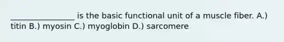 ________________ is the basic functional unit of a muscle fiber. A.) titin B.) myosin C.) myoglobin D.) sarcomere