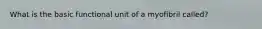 What is the basic functional unit of a myofibril called?