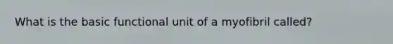 What is the basic functional unit of a myofibril called?