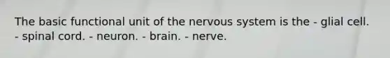 The basic functional unit of the nervous system is the - glial cell. - spinal cord. - neuron. - brain. - nerve.