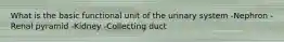 What is the basic functional unit of the urinary system -Nephron -Renal pyramid -Kidney -Collecting duct