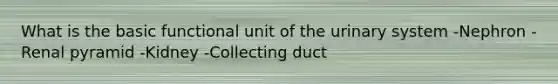 What is the basic functional unit of the urinary system -Nephron -Renal pyramid -Kidney -Collecting duct