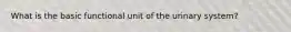 What is the basic functional unit of the urinary system?