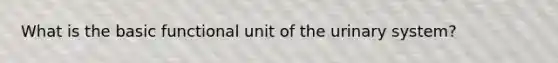 What is the basic functional unit of the urinary system?