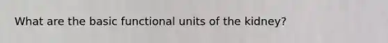 What are the basic functional units of the kidney?