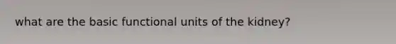 what are the basic functional units of the kidney?