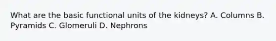 What are the basic functional units of the kidneys? A. Columns B. Pyramids C. Glomeruli D. Nephrons