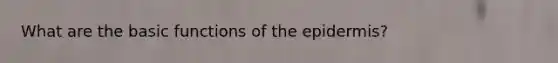 What are the basic functions of the epidermis?