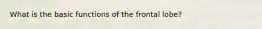 What is the basic functions of the frontal lobe?