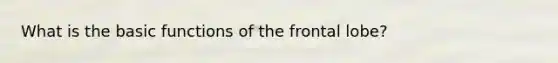 What is the basic functions of the frontal lobe?
