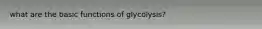 what are the basic functions of glycolysis?