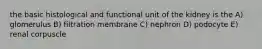 the basic histological and functional unit of the kidney is the A) glomerulus B) filtration membrane C) nephron D) podocyte E) renal corpuscle