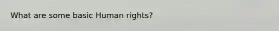 What are some basic Human rights?