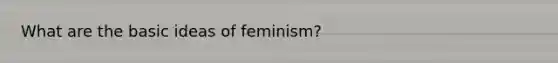 What are the basic ideas of feminism?