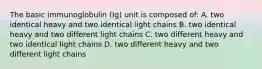 The basic immunoglobulin (Ig) unit is composed of: A. two identical heavy and two identical light chains B. two identical heavy and two different light chains C. two different heavy and two identical light chains D. two different heavy and two different light chains