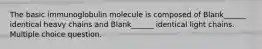 The basic immunoglobulin molecule is composed of Blank______ identical heavy chains and Blank______ identical light chains. Multiple choice question.