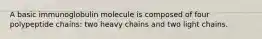 A basic immunoglobulin molecule is composed of four polypeptide chains: two heavy chains and two light chains.