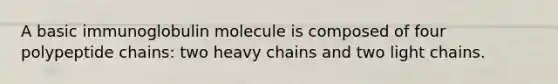 A basic immunoglobulin molecule is composed of four polypeptide chains: two heavy chains and two light chains.