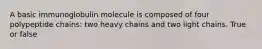 A basic immunoglobulin molecule is composed of four polypeptide chains: two heavy chains and two light chains. True or false