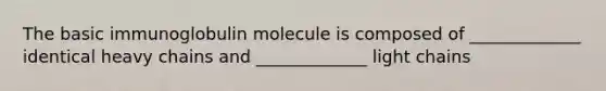 The basic immunoglobulin molecule is composed of _____________ identical heavy chains and _____________ light chains