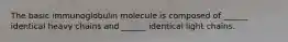 The basic immunoglobulin molecule is composed of ______ identical heavy chains and ______ identical light chains.