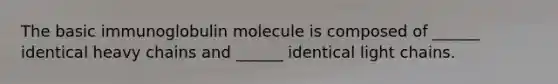 The basic immunoglobulin molecule is composed of ______ identical heavy chains and ______ identical light chains.