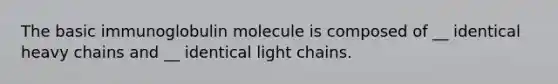 The basic immunoglobulin molecule is composed of __ identical heavy chains and __ identical light chains.