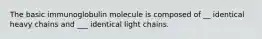 The basic immunoglobulin molecule is composed of __ identical heavy chains and ___ identical light chains.