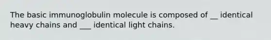 The basic immunoglobulin molecule is composed of __ identical heavy chains and ___ identical light chains.