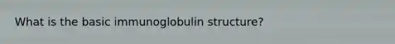 What is the basic immunoglobulin structure?