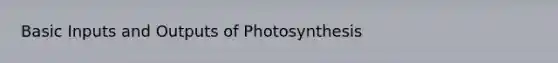 Basic Inputs and Outputs of Photosynthesis