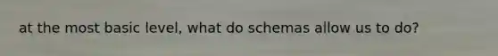 at the most basic level, what do schemas allow us to do?