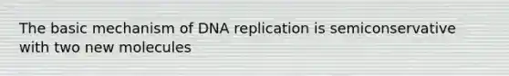 The basic mechanism of DNA replication is semiconservative with two new molecules