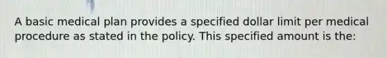 A basic medical plan provides a specified dollar limit per medical procedure as stated in the policy. This specified amount is the: