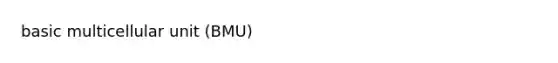 basic multicellular unit (BMU)