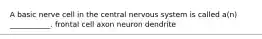 A basic nerve cell in the central nervous system is called a(n) ___________. frontal cell axon neuron dendrite